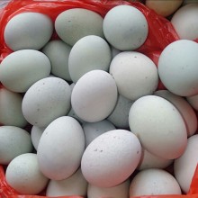 盐皮蛋 散养鸭蛋制品